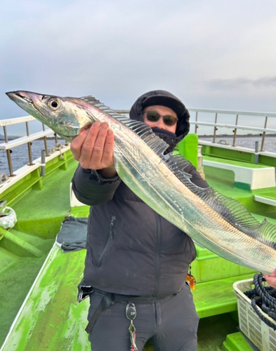 タチウオの釣果