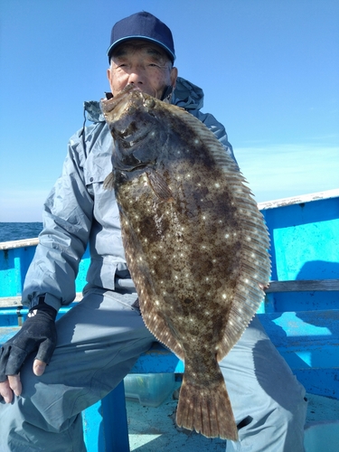 ヒラメの釣果