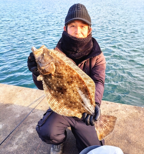 ヒラメの釣果