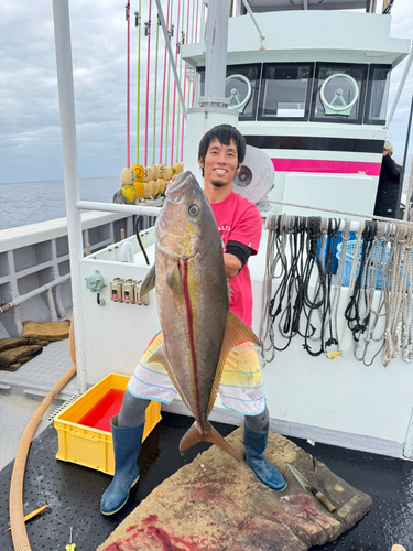 ヒレナガカンパチの釣果