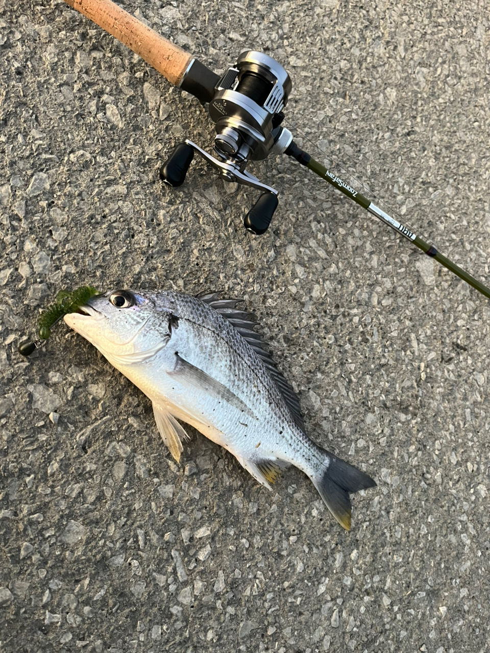 SHIMANO 20カルカッタコンクエスト DC 100 RIGHTの最安値 SHIMANO 20カルカッタコンクエスト DC 100 RIGHTの最安値