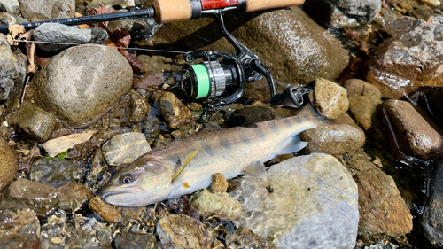 岐阜県北部