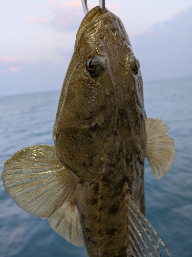 宮津湾