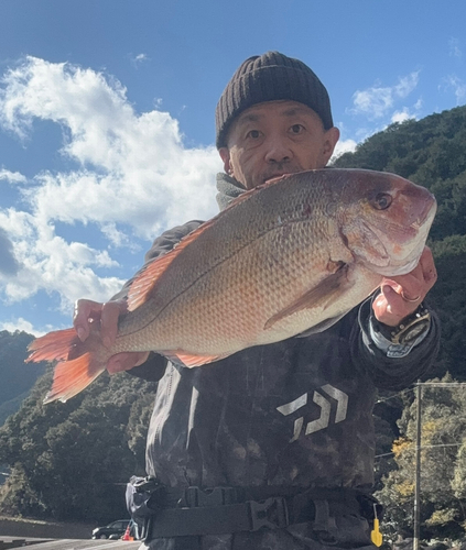 タイの釣果