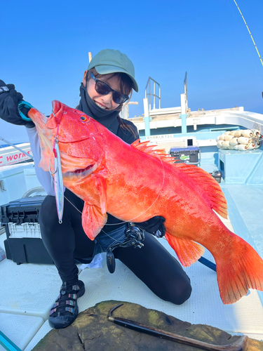 スジアラの釣果