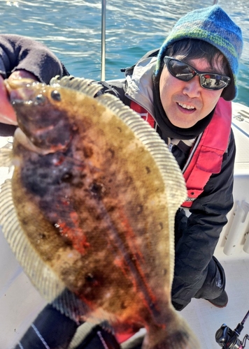 ガンゾウビラメの釣果