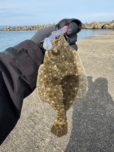 ソゲの釣果