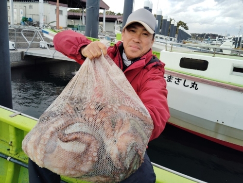 マダコの釣果