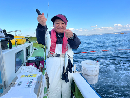 マアジの釣果