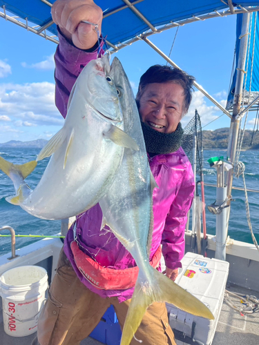 ヤズの釣果