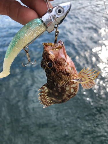 長崎湾