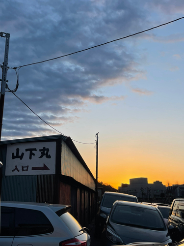 カワハギの釣果