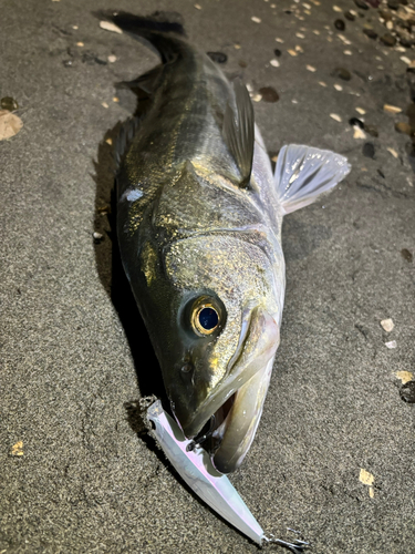 表浜名湖