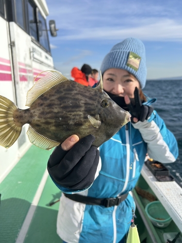 カワハギの釣果