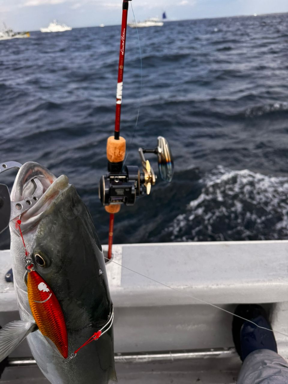 kamemotoyaさんの釣果 2枚目の画像