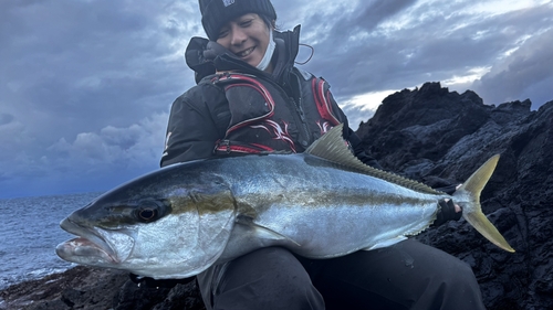 ヒラマサの釣果