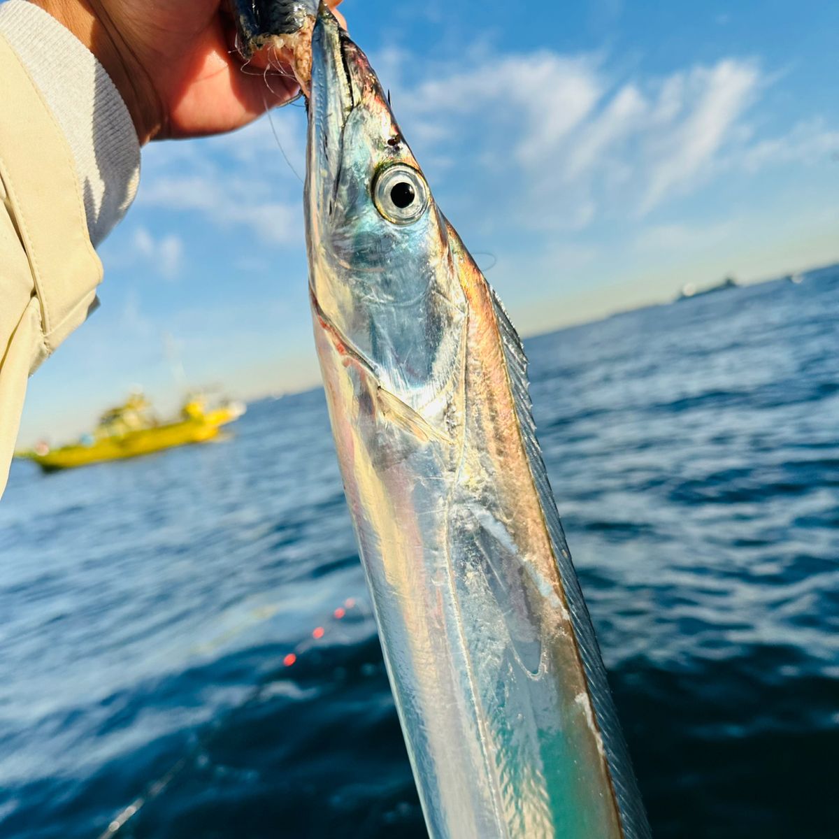 ROGGY(ろぎー)さんの釣果 1枚目の画像