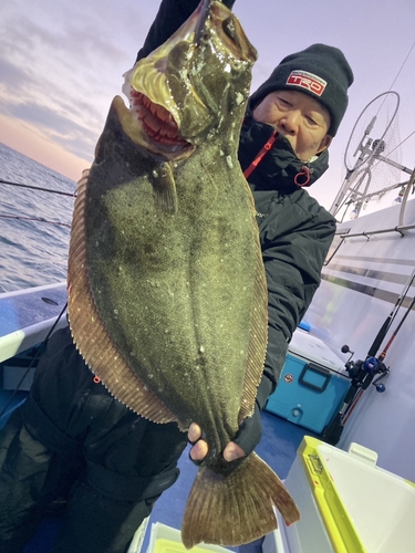 ヒラメの釣果