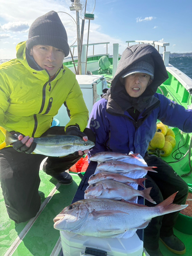 マダイの釣果