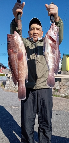 マハタの釣果