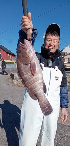 マハタの釣果