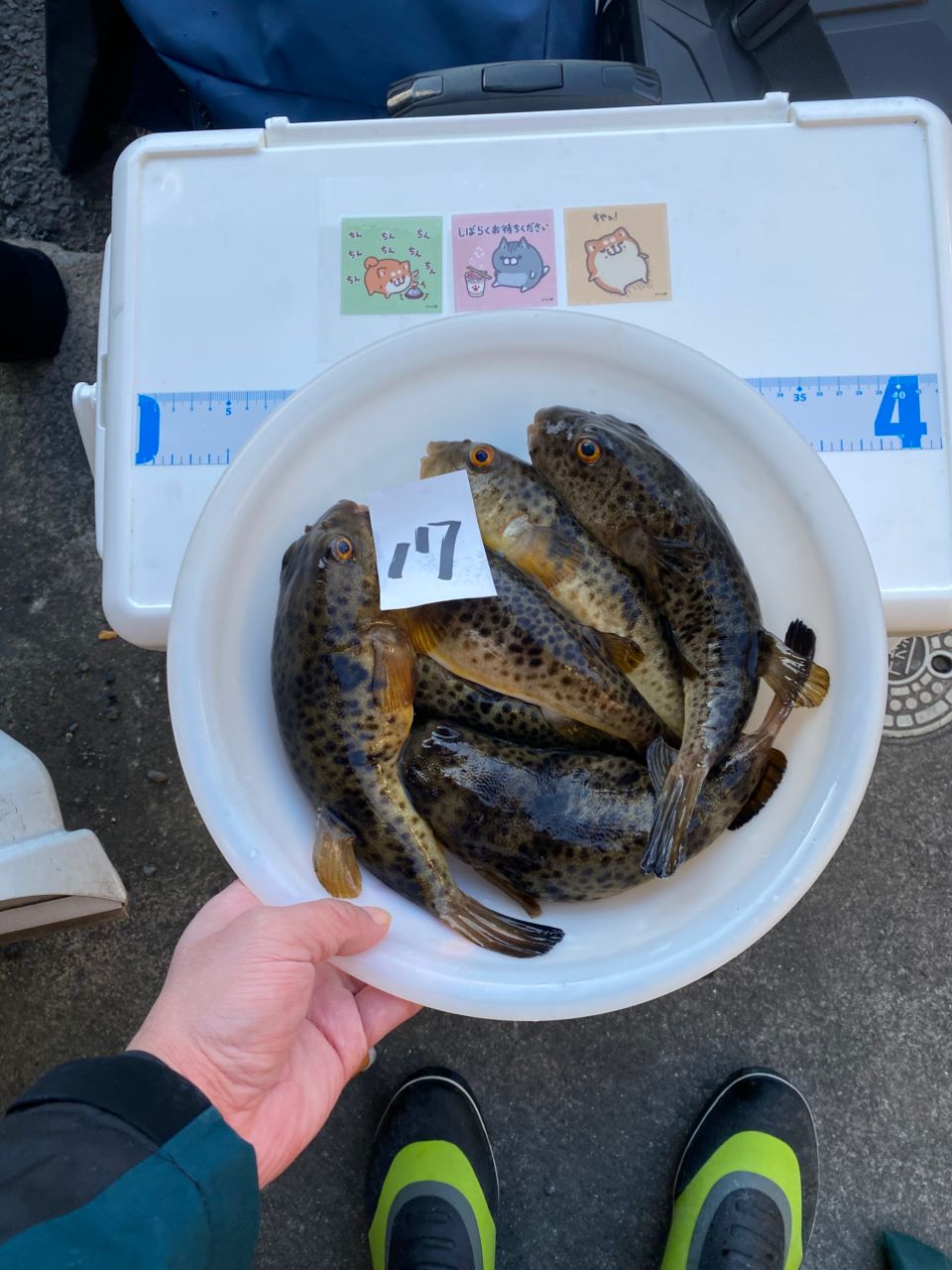 魚屋の子孫さんの釣果 3枚目の画像