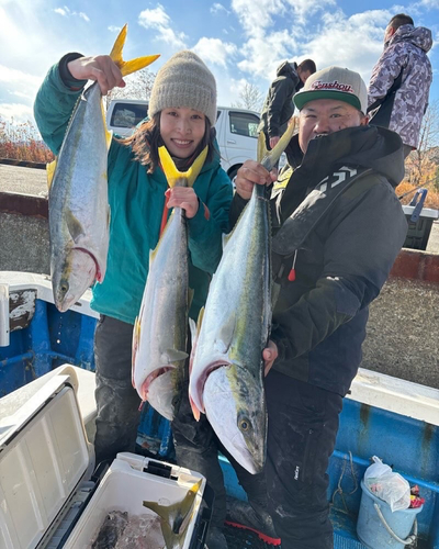 ブリの釣果