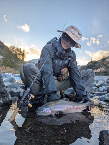 ニジマスの釣果