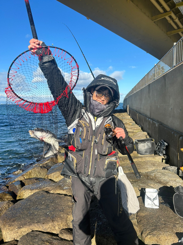 常滑りんくう釣り護岸