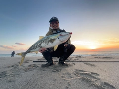 ワラサの釣果