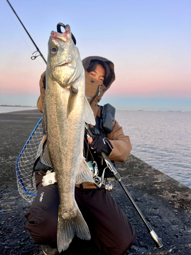 木更津沖堤防