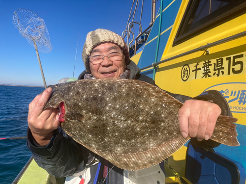 ヒラメの釣果