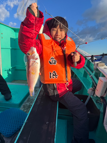 アマダイの釣果