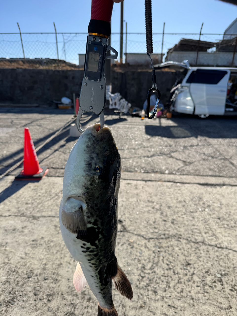 358丸さんの釣果 2枚目の画像