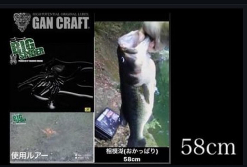 ブラックバスの釣果