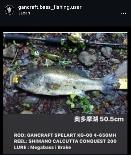 ブラックバスの釣果