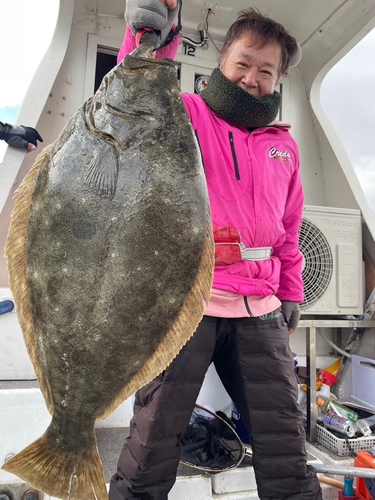 ヒラメの釣果