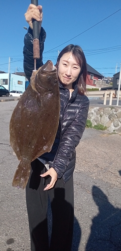 ヒラメの釣果