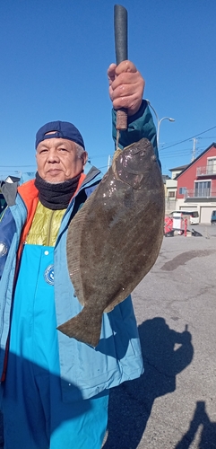 ヒラメの釣果