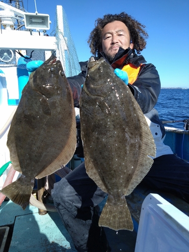 ヒラメの釣果