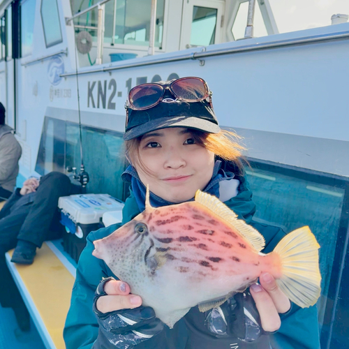 カワハギの釣果