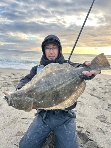 ヒラメの釣果