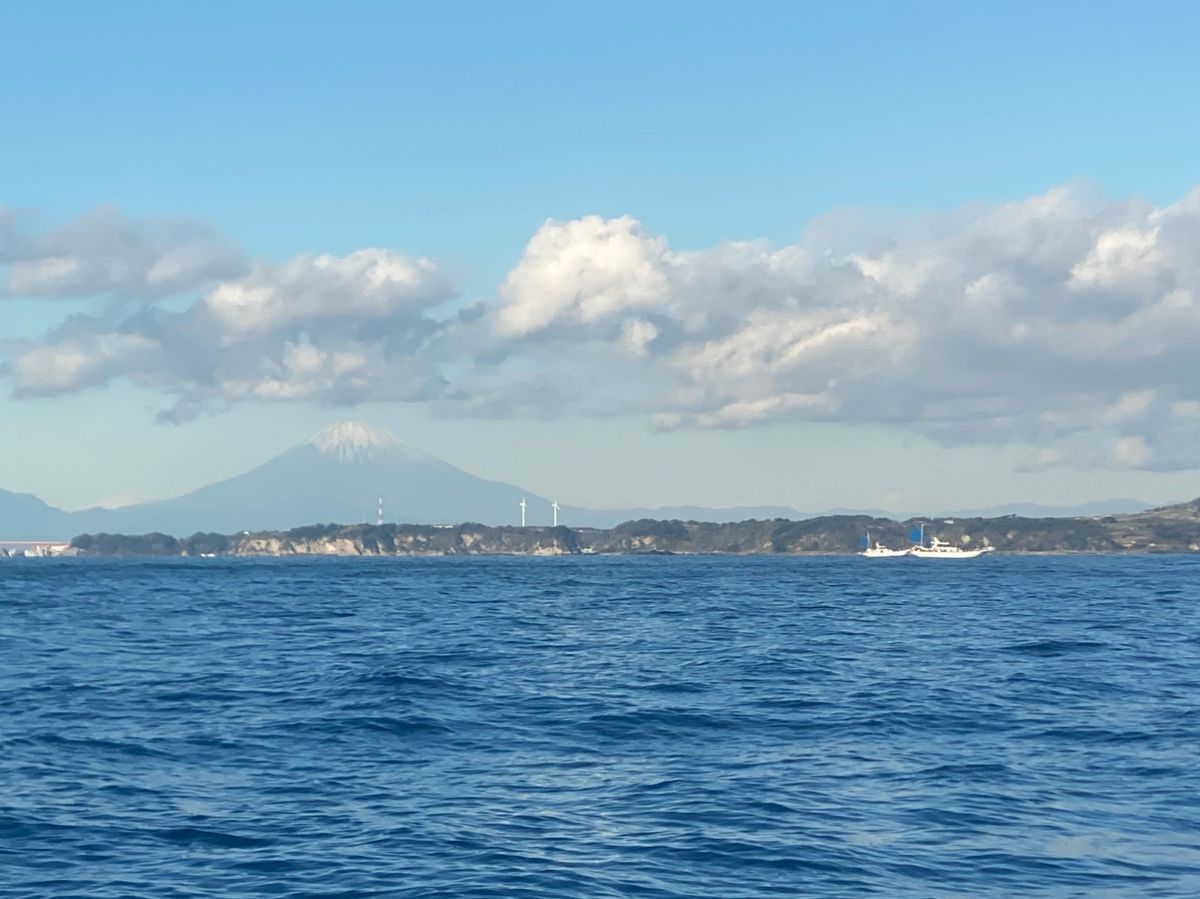 オトコマエさんの釣果 2枚目の画像