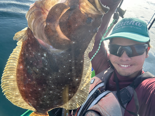 マハタの釣果