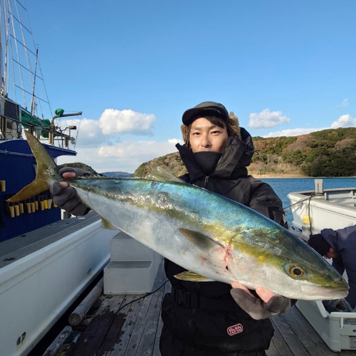 ブリの釣果