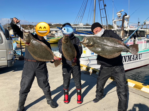 ヒラメの釣果