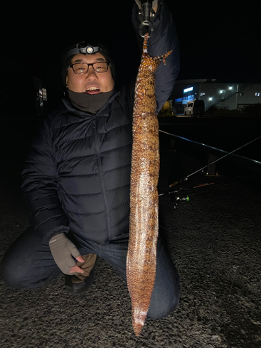 トラウツボの釣果