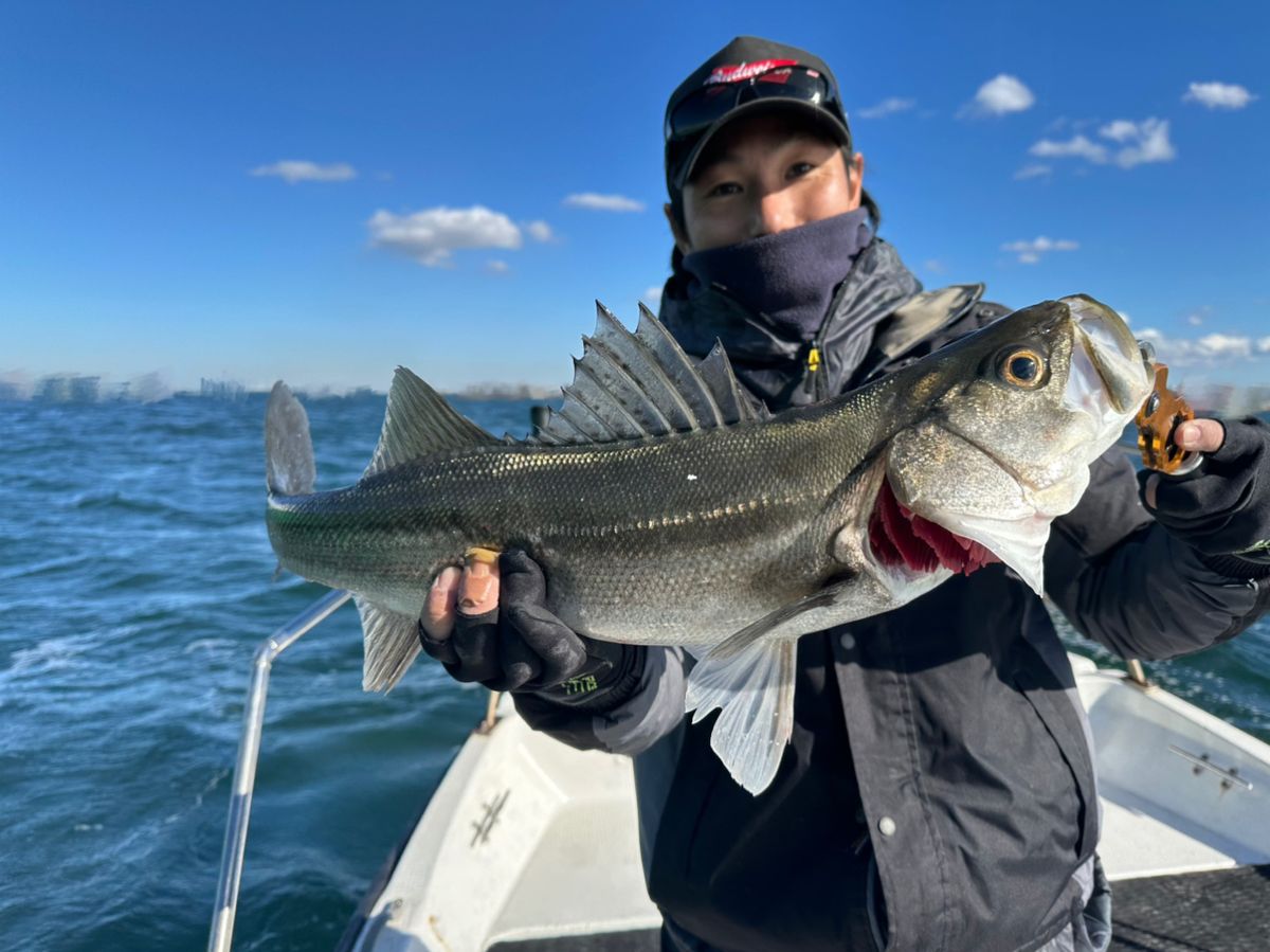 Ryo Kさんの釣果 2枚目の画像