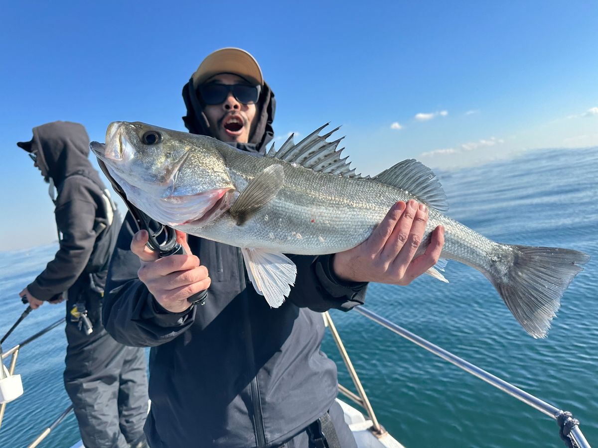 Ryo Kさんの釣果 2枚目の画像