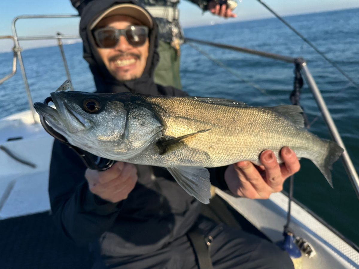 Ryo Kさんの釣果 3枚目の画像